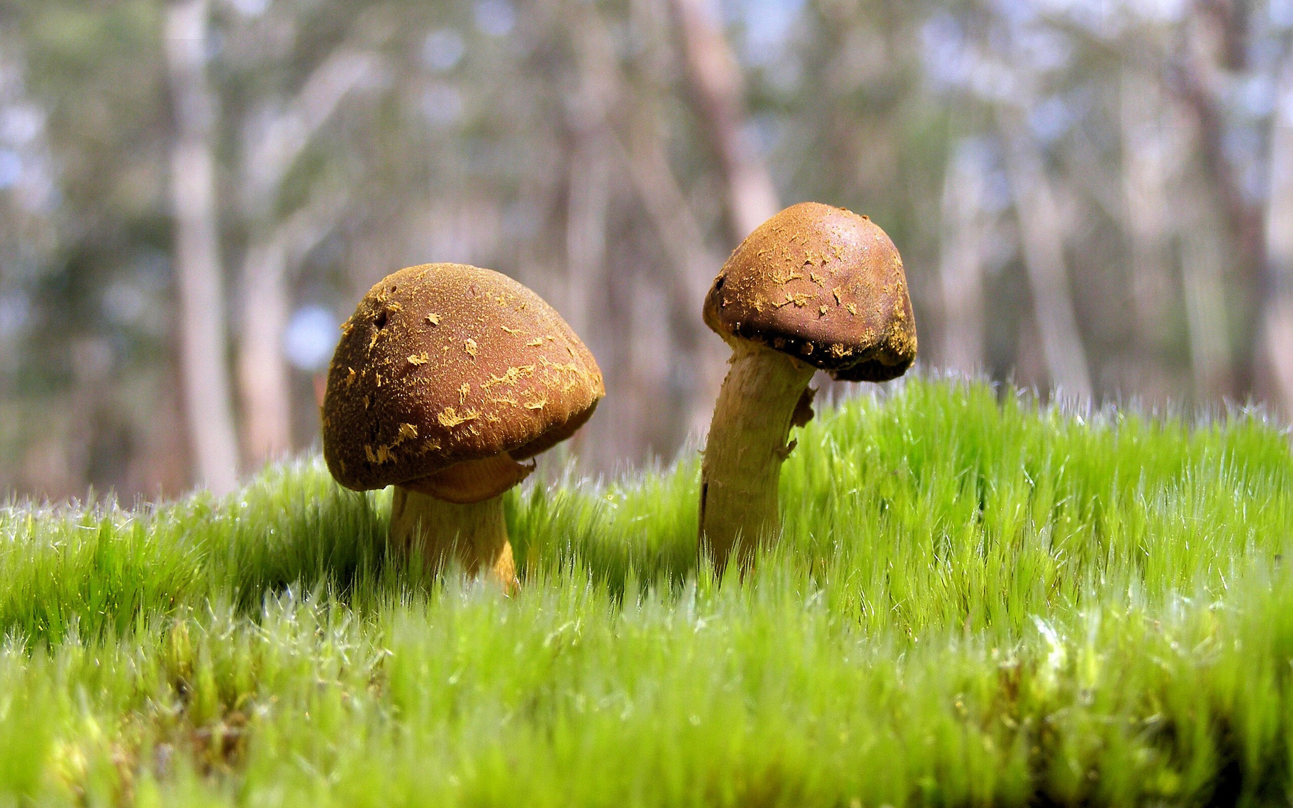 开云体育APP下载-智能穿戴融合：未来电竞比赛的“硬件革命”，智能穿戴平台