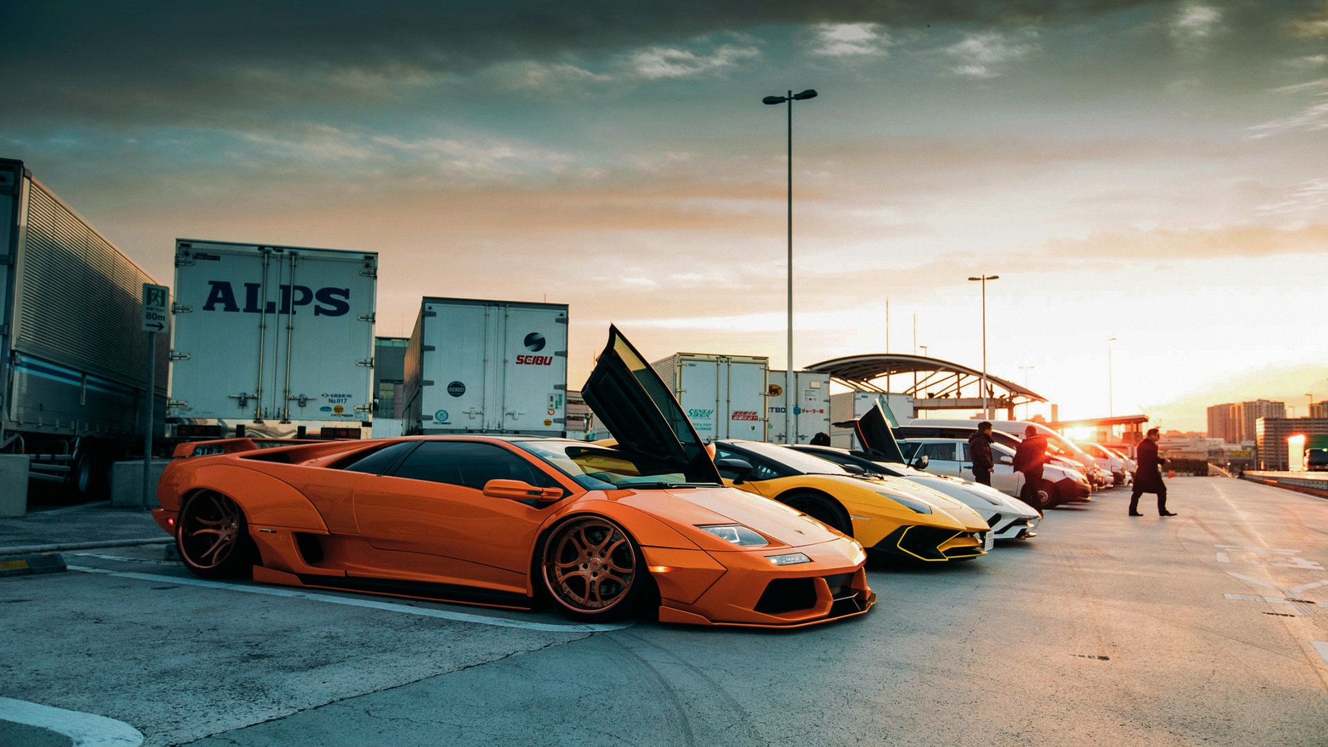 国际体育资讯:女子赛事中的激烈竞争!,女子竞技比赛