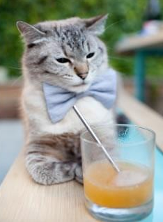 kaiyun网站-国际米兰客场大败，领先优势被压缩，国际米兰队