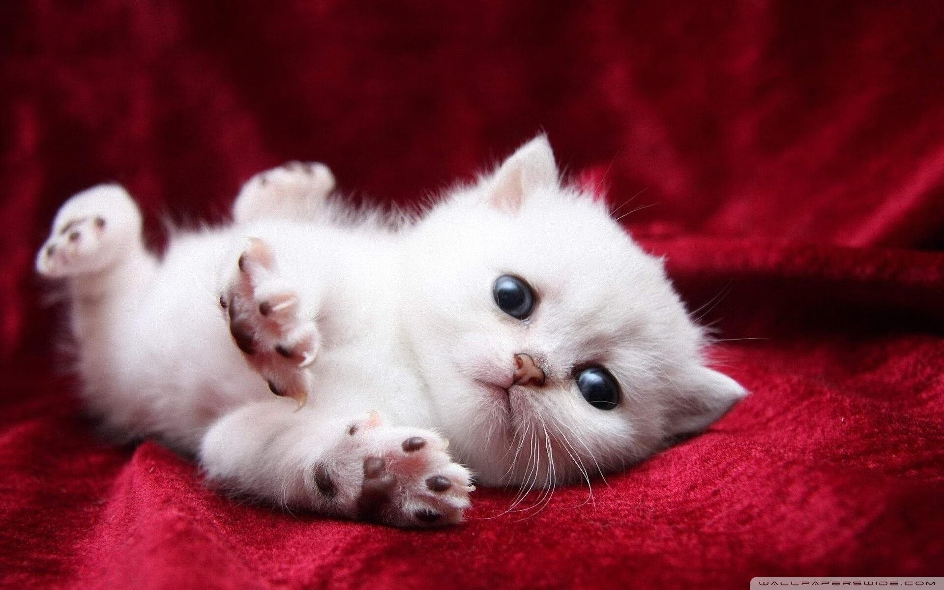 kaiyun官方网站-皇马主场迎战切尔西，一场强强对话将掀起波澜！，皇马vs切尔西全场录像