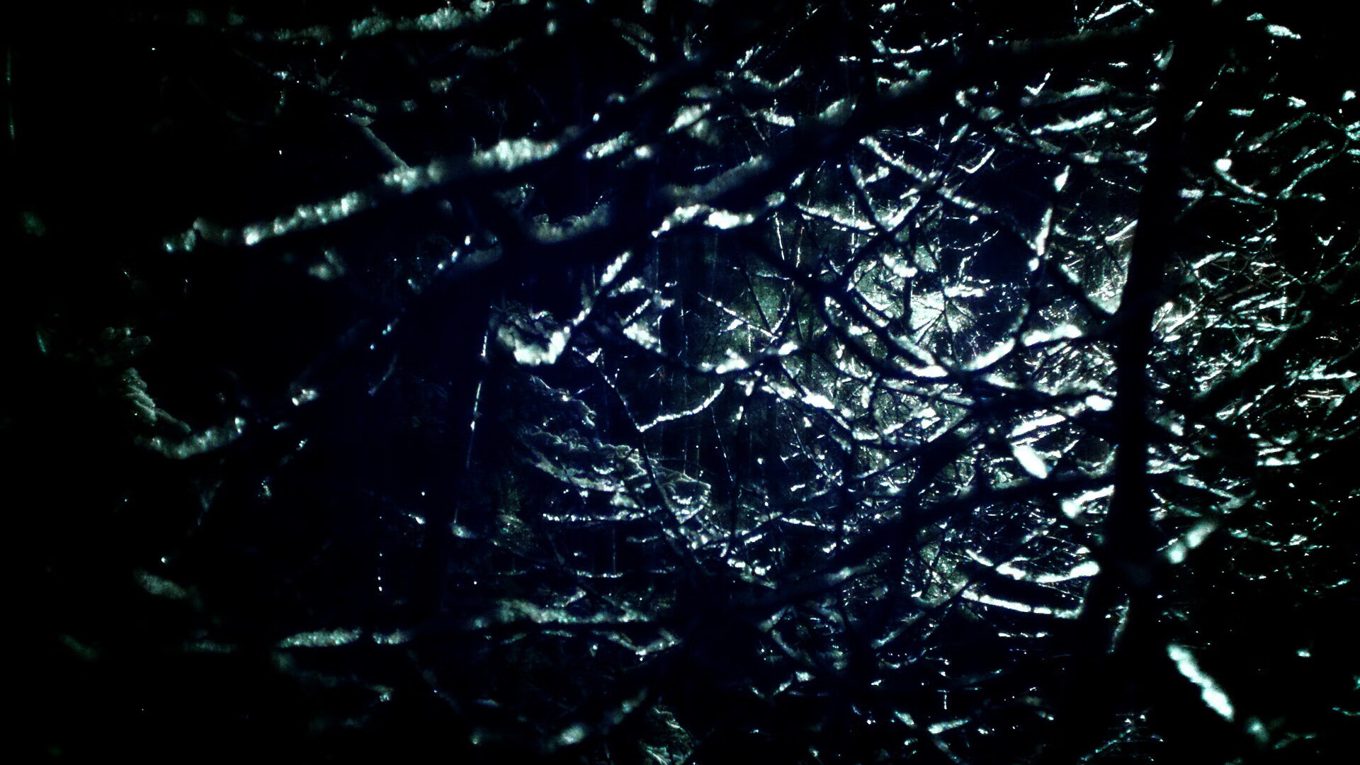 争夺联盟最强球队:今年冠军竞争格局分析,争夺mvp