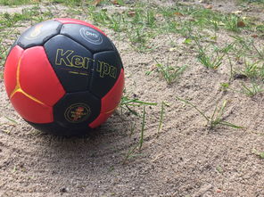 开云官方网页登录-全国老年人健身球操赛展银发激情，老年健身球类