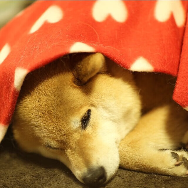 开云平台-高校运动训练效果科学评估方法，高校运动项目的训练设置