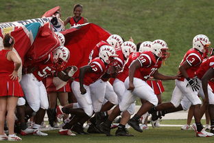 kaiyun开云·官方网站-国家队技战术水平提升瓶颈，国家技巧队