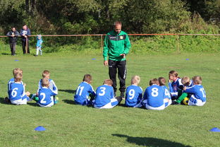 开云官网-球队教练组是否借助VAR数据辅助赛后战术修复，球员 教练