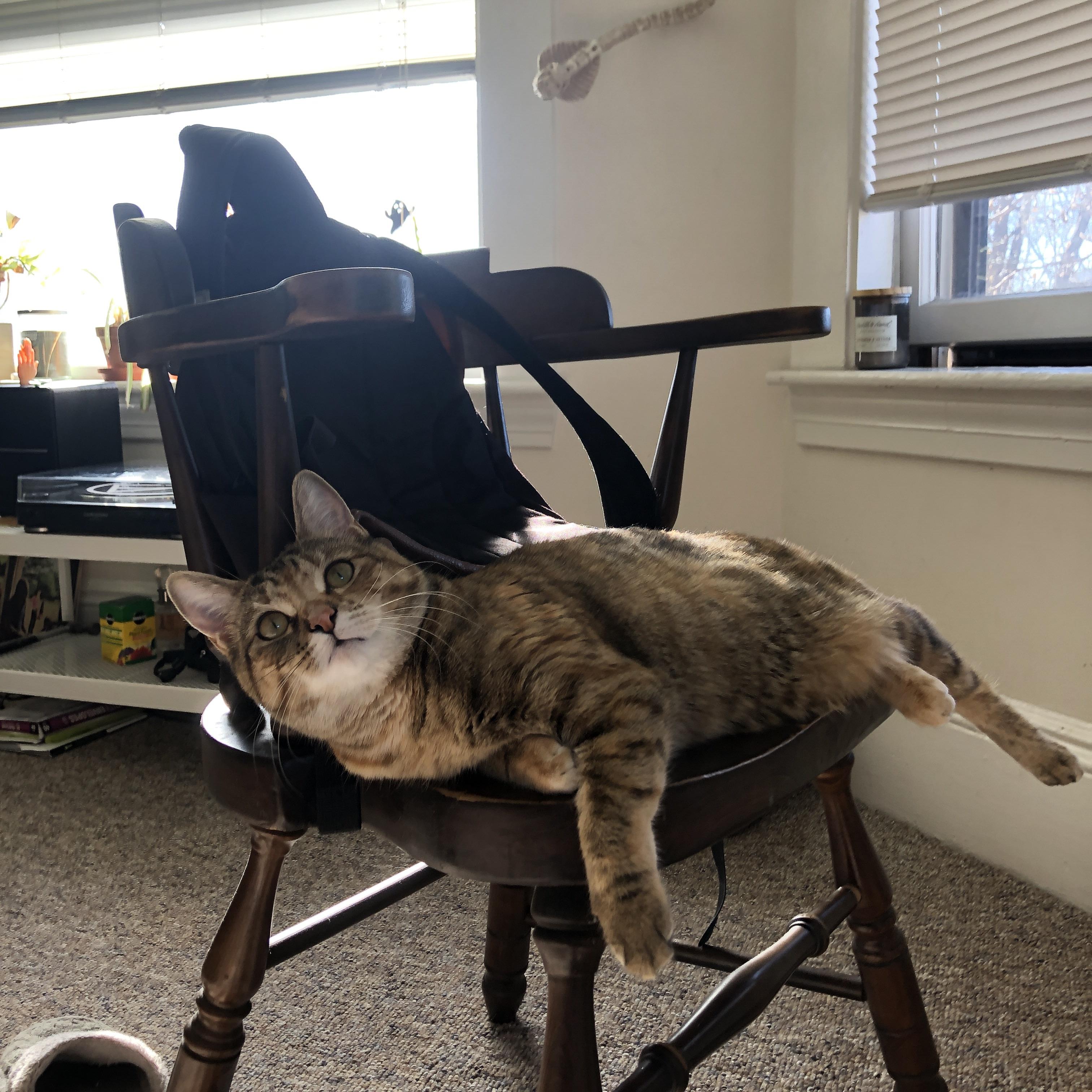 王楚钦比赛中三次擦边球打出胜势,王楚钦打球视频