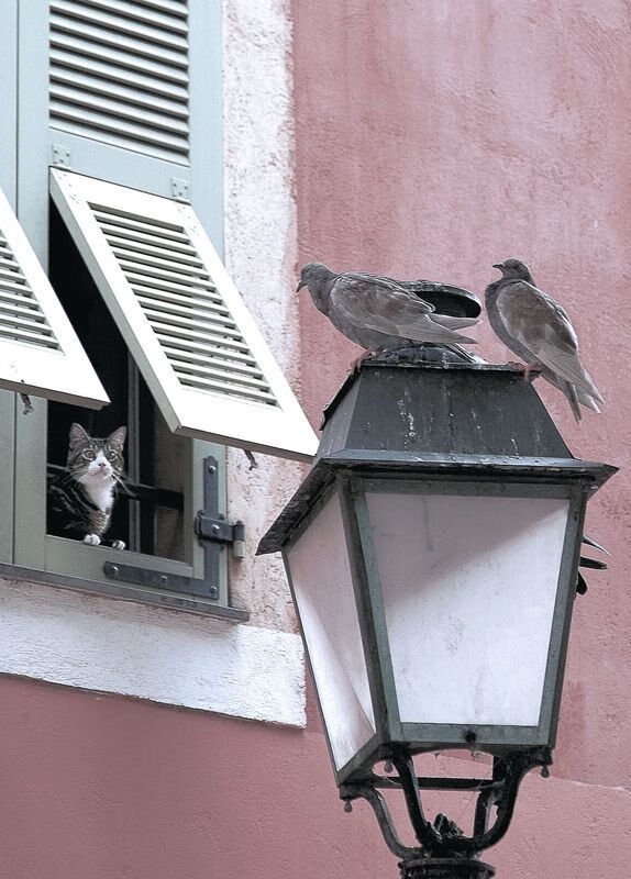 青年球员赴海外联赛锻炼提升实战能力扩大国际视野，中国球员海外青训