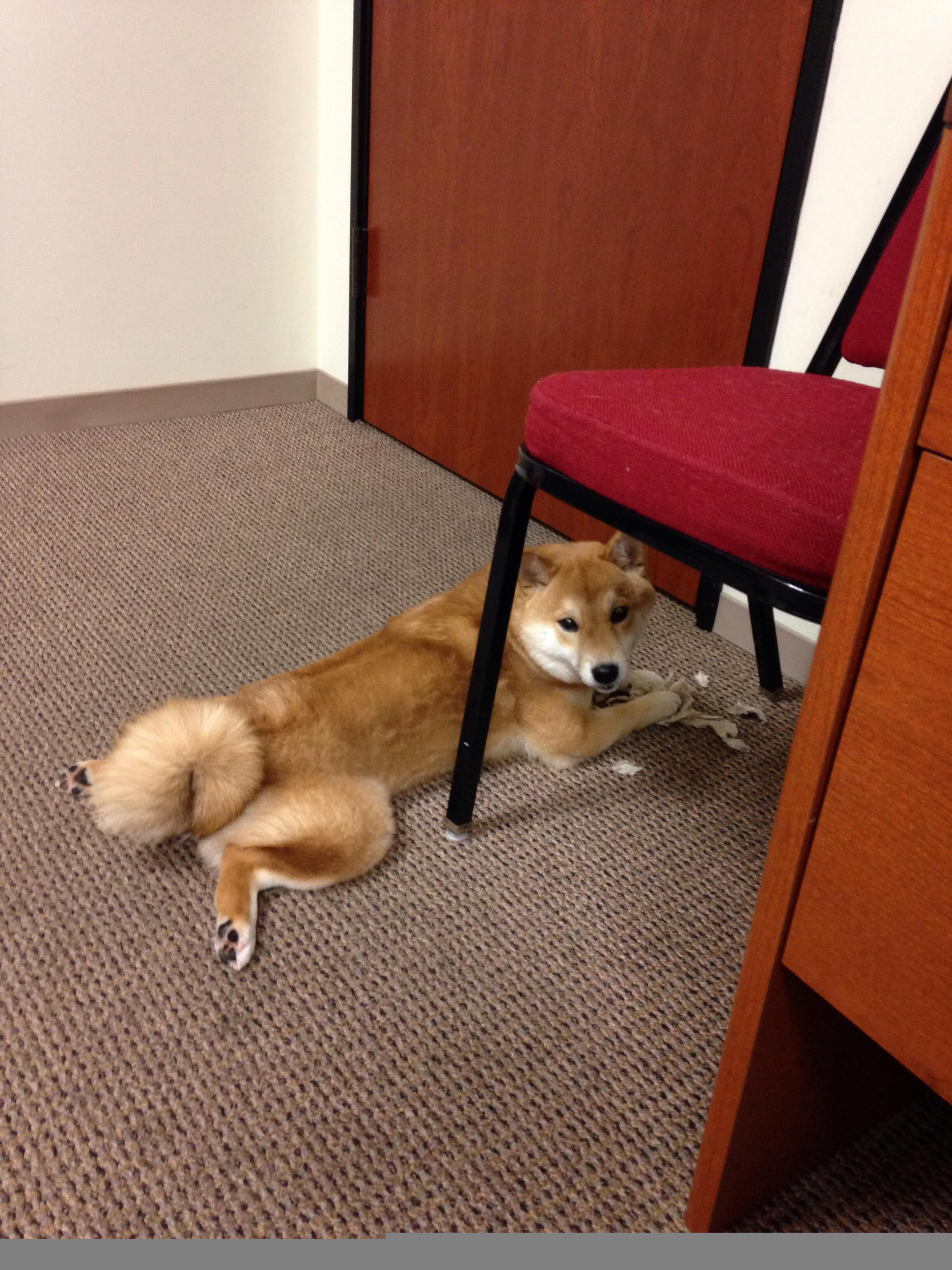 kaiyun体育app-青年国家队启用体能监控腕带采集训练负荷实时反馈